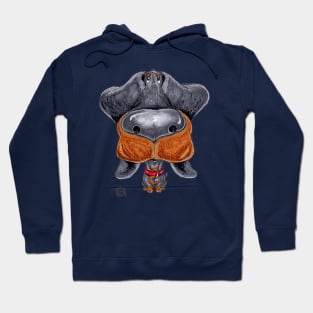 Dachshund Dog Hoodie